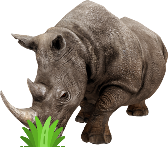 Rinoceronte - Juego y Aprendo